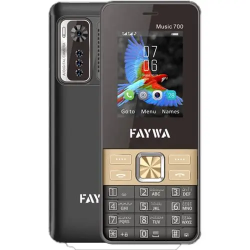 Faywa Music 700 Mobile Price in Pakistan