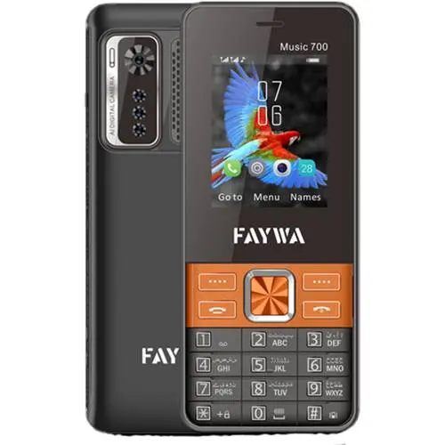 Faywa Music 700 Mobile Price in Pakistan